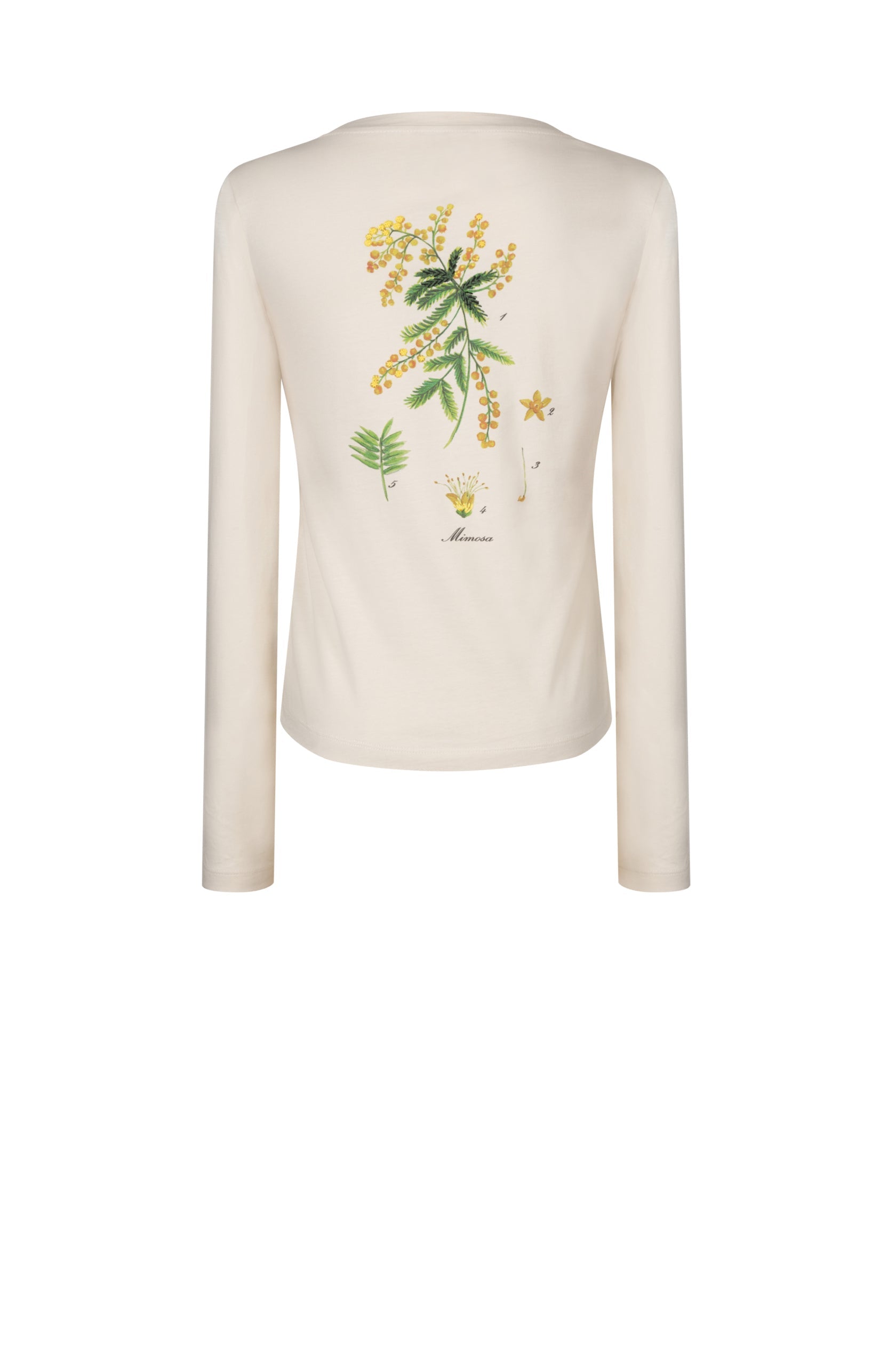 T-shirt à manches longues imprimé au dos - Naturel