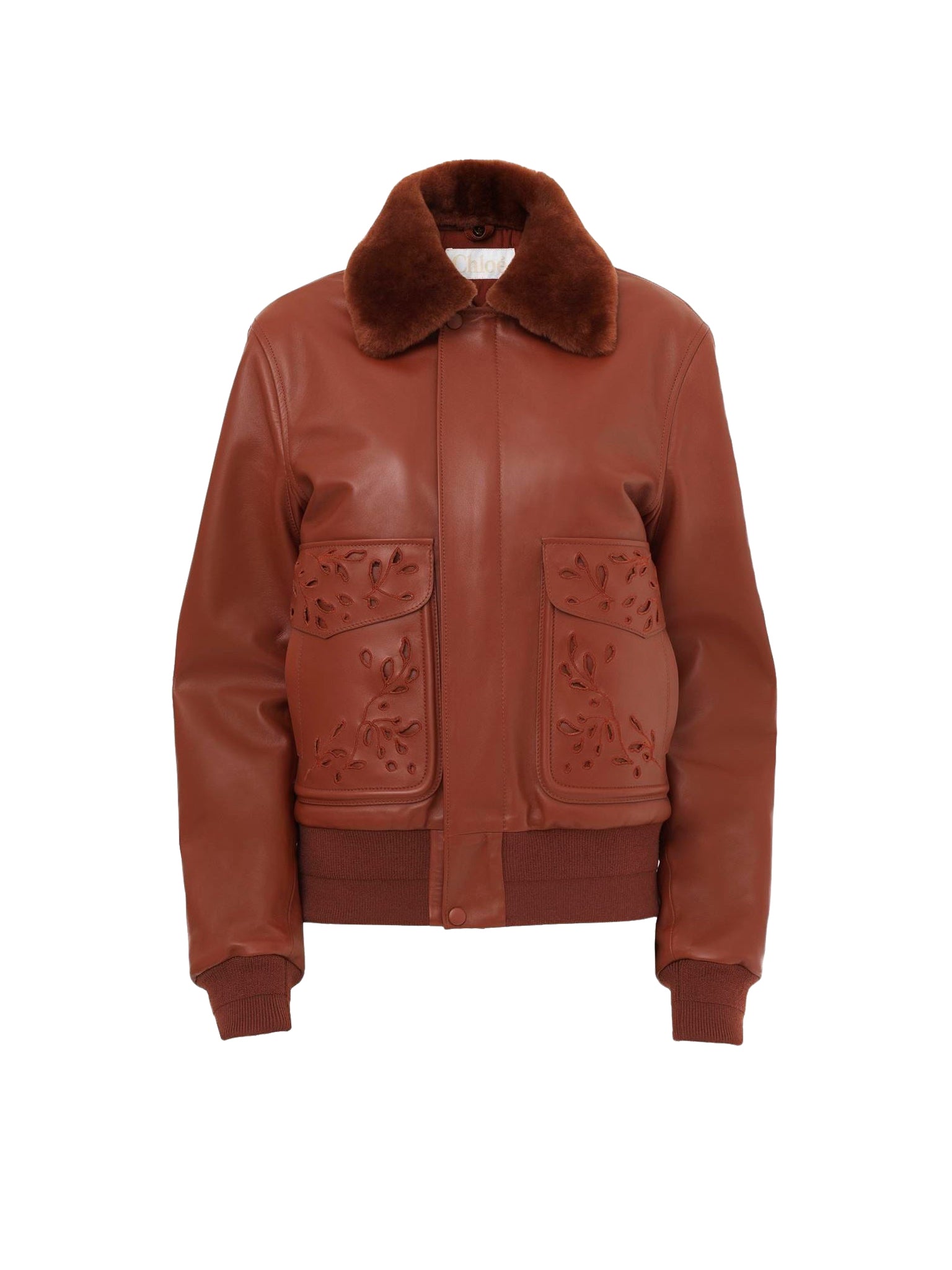 Veste en cuir brodée - Intense Brown