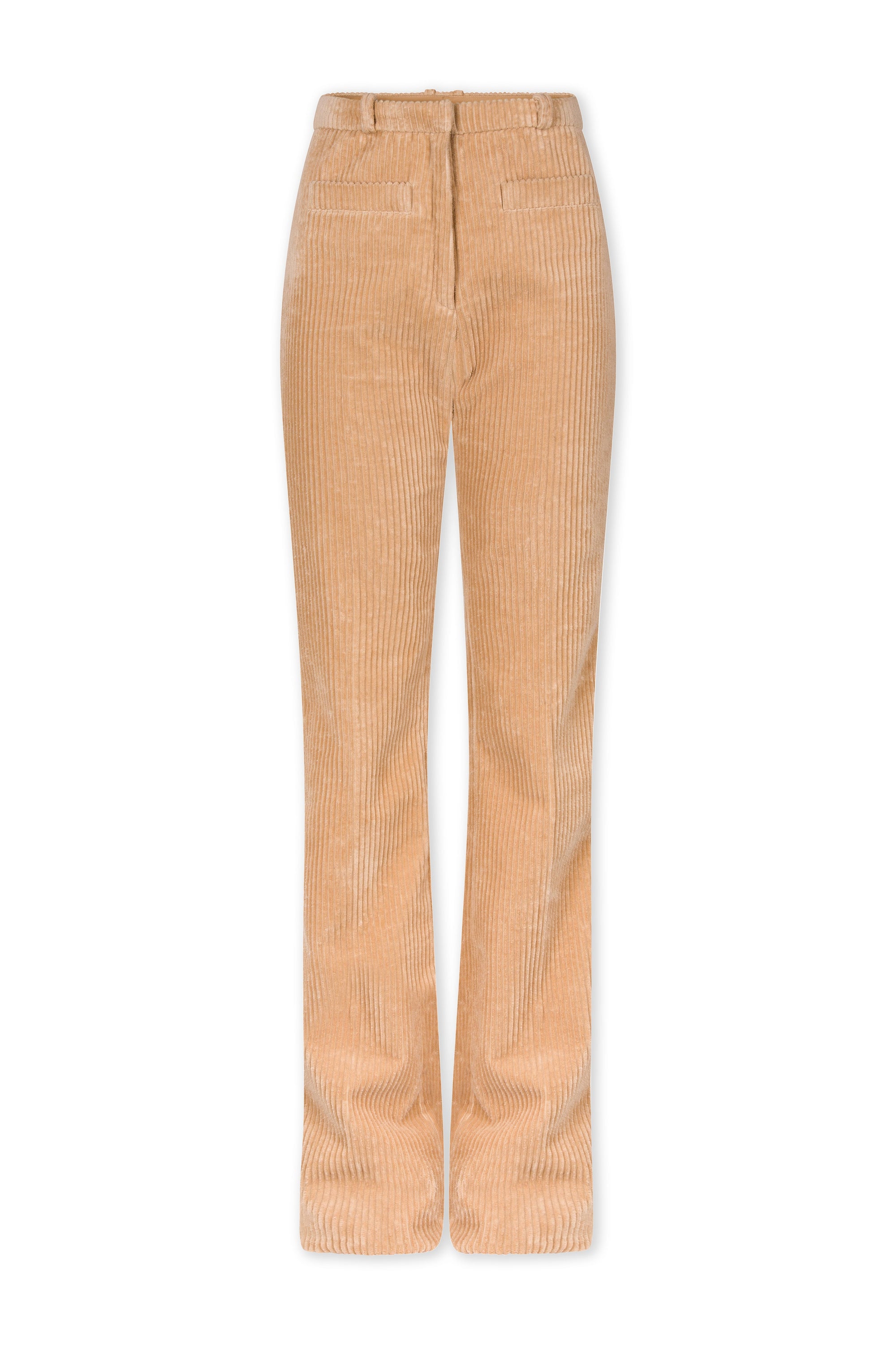 Pantalon côtelé à pince - Ivory 70 S Paisley