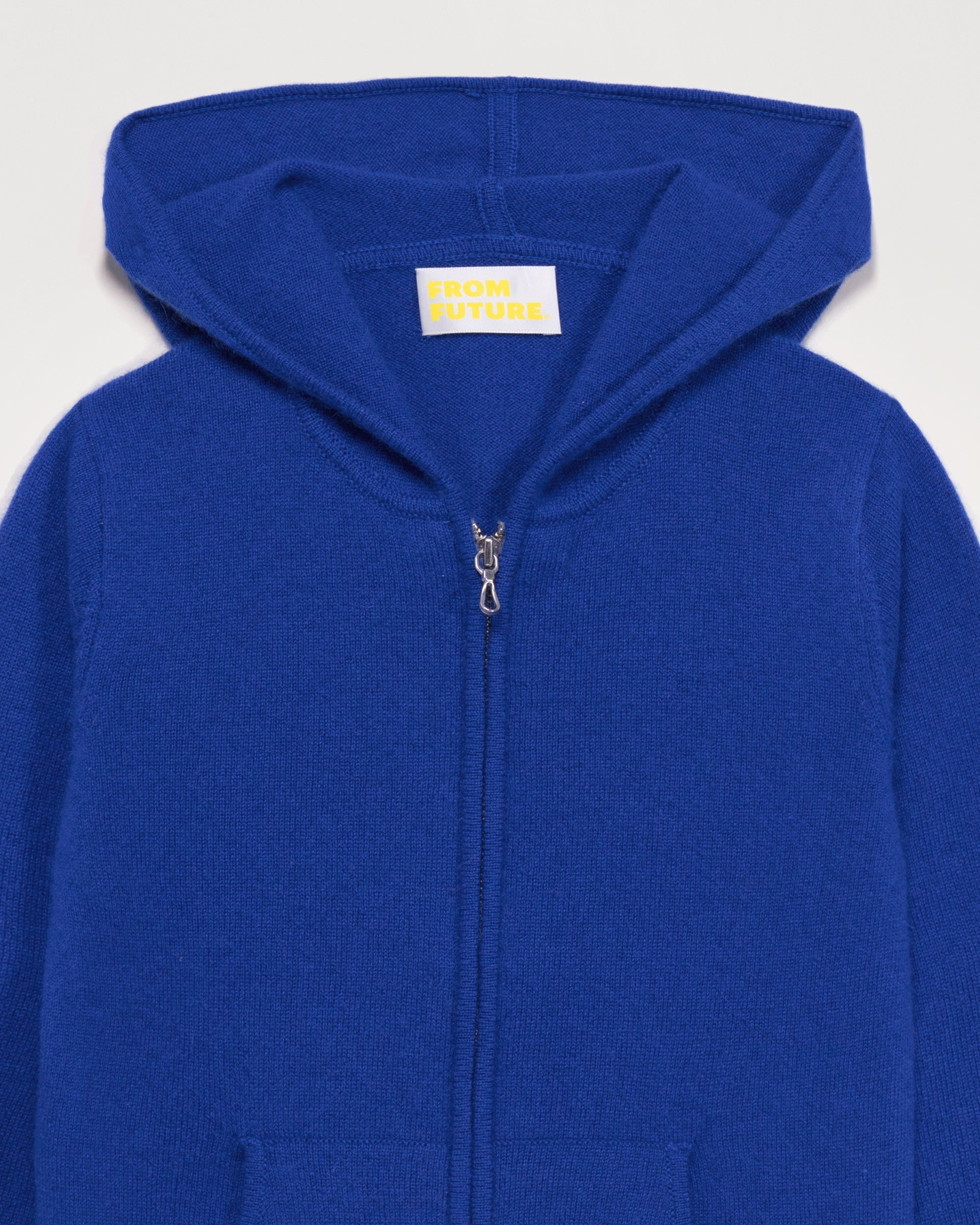 Hoodie zippé From Future à inscriptions en cachemire - Electric Blue