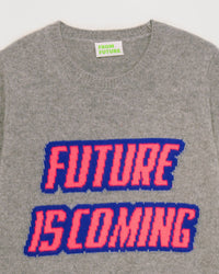 Pull à col rond Future is coming en cachemire - Dark Heather Gray