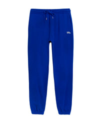 Pantalon de jogging brodé from future - Electric Blue