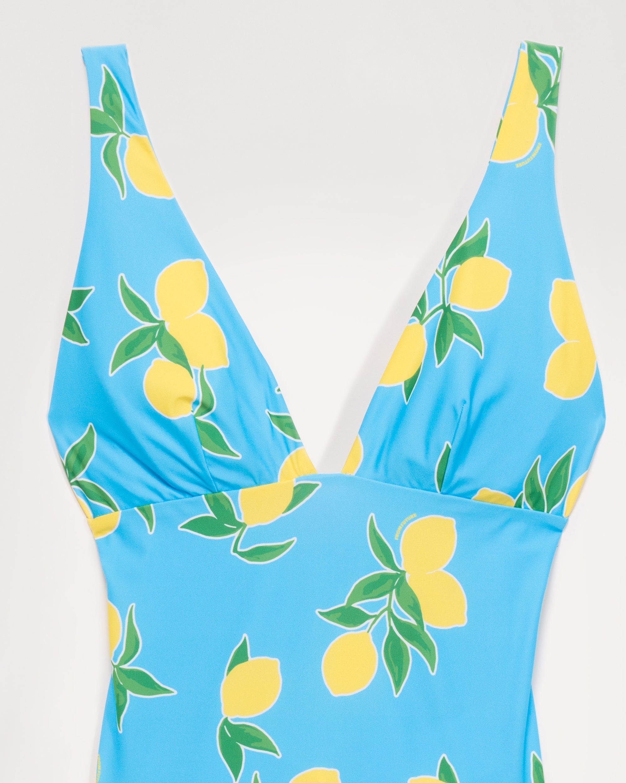 Maillot de bain une pièce - Blue Lemons