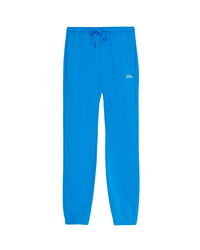 Pantalon de jogging à broderie From Future - Passion Blue
