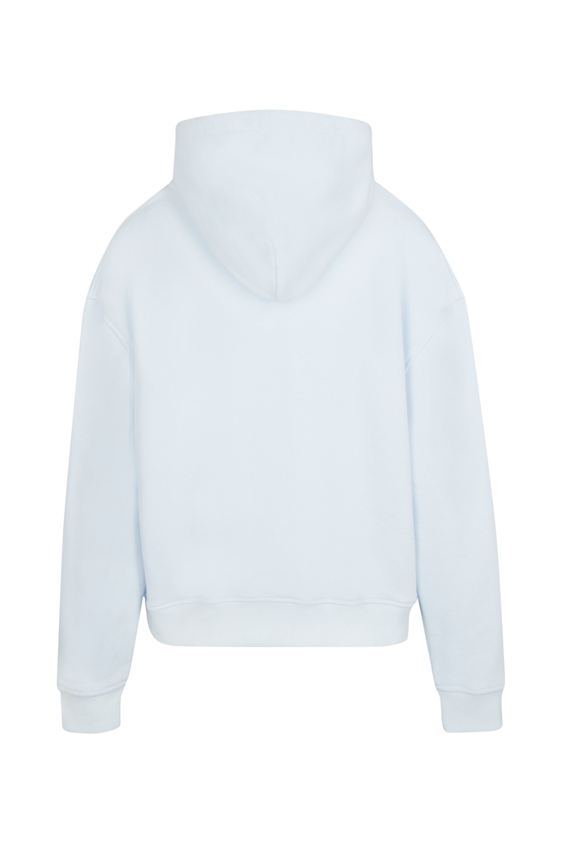 Sweat à capuche oversize signature - Baby Blue