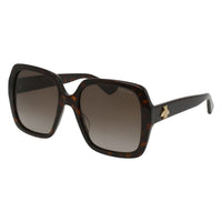 GG0096S Havana acetate Sunglasses - Shiny Dark Havana