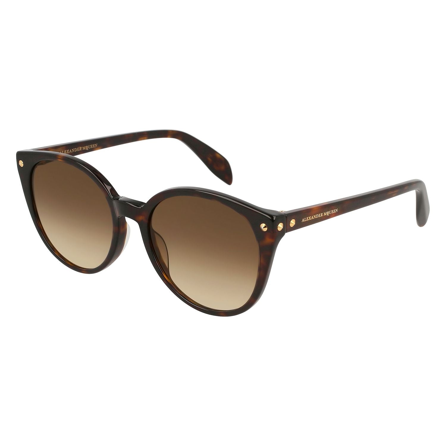 AM0130S Havana acetate Sunglasses - Shiny Classic Havana