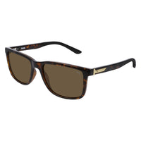PE0076S Havana injection Sunglasses - Shiny Classic Havana