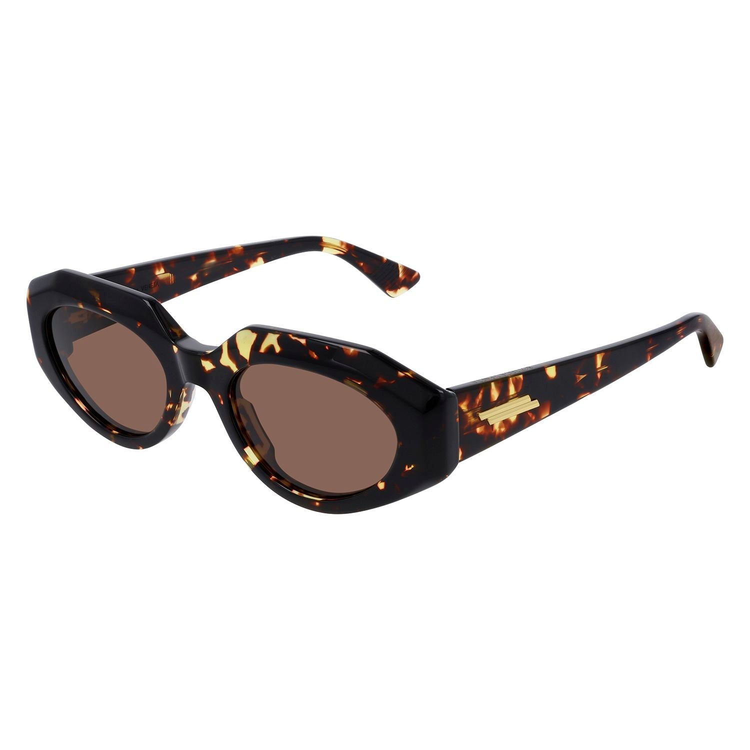 BV1031S Havana acetate Sunglasses - Shiny Spotted Havana