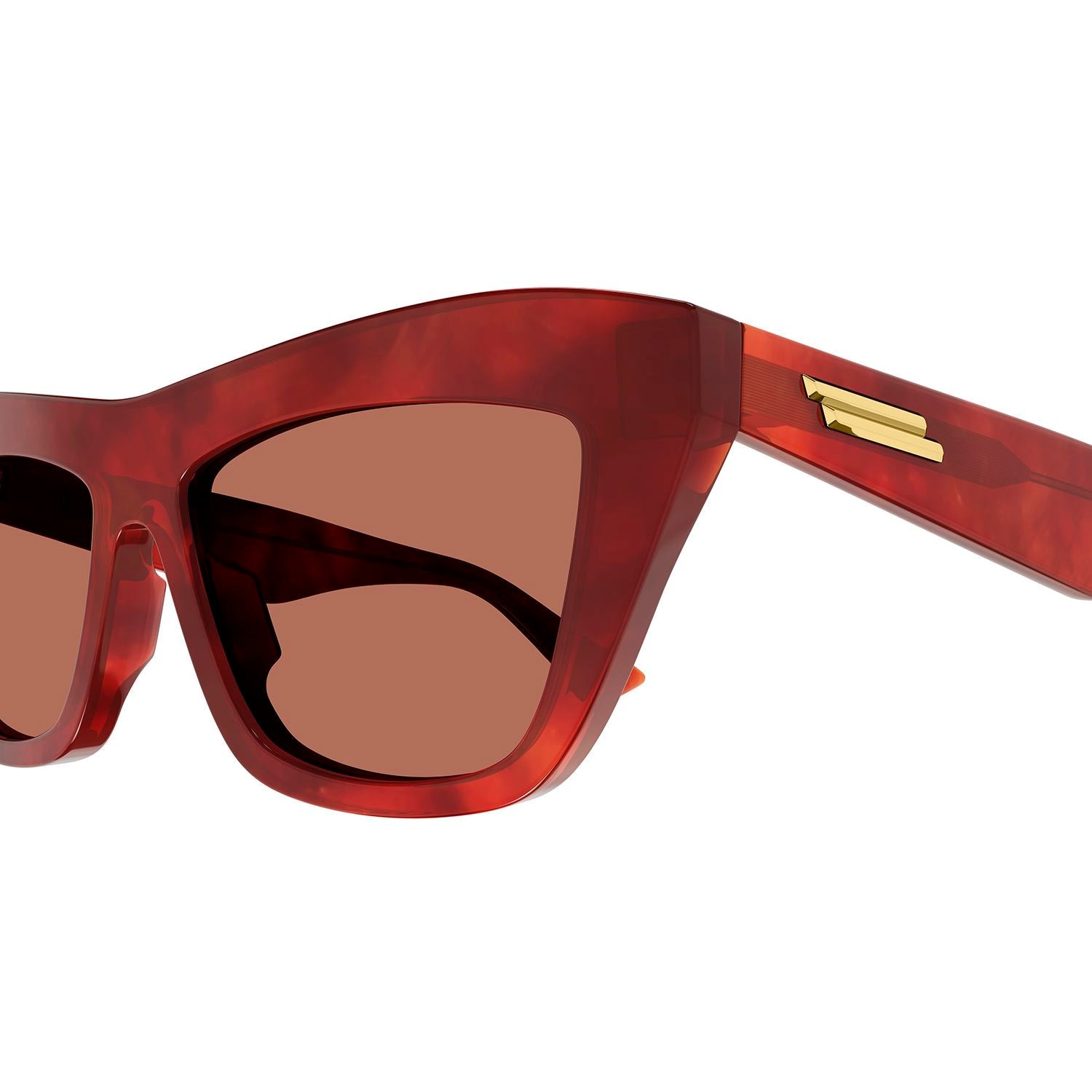 BV1121S Havana recycled acetate Sunglasses - Shiny Reddish Havana