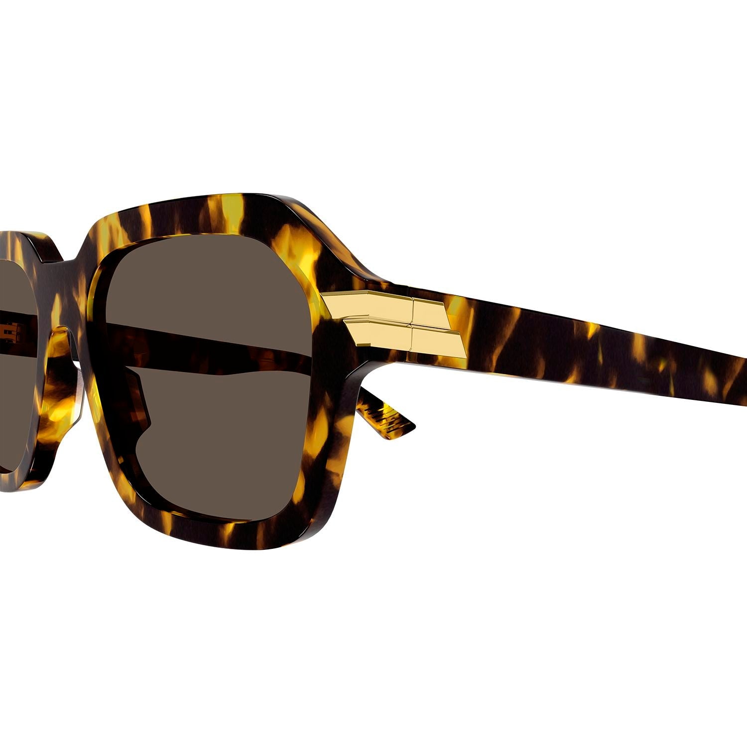 BV1123S Havana acetate Sunglasses - Shiny Spotted Havana