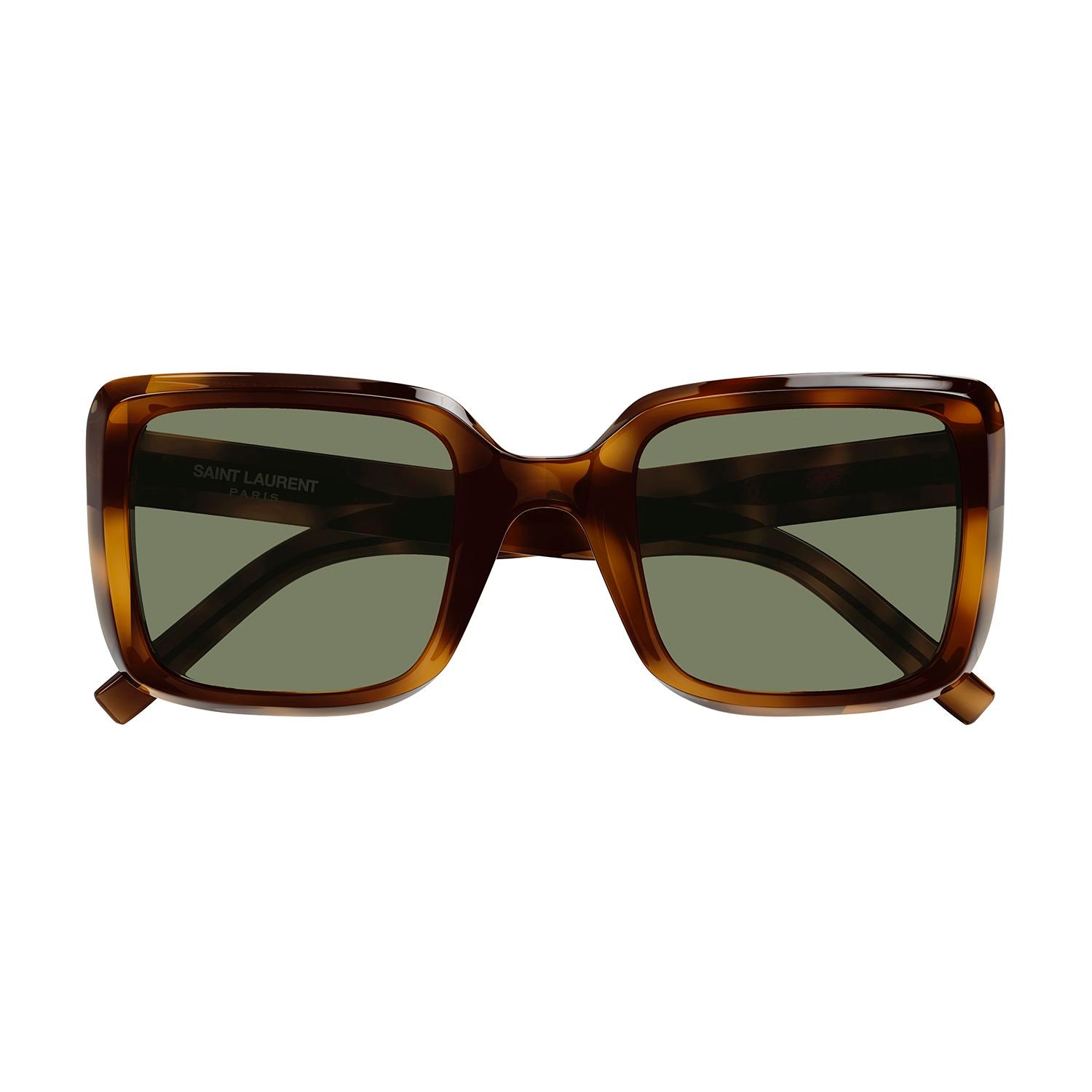 SL 497 Havana acetate Sunglasses - Shiny Medium Havana
