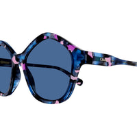 CC0010S Havana recycled acetate Sunglasses - Shiny Transparent Blue & Viollet & Rose Havana