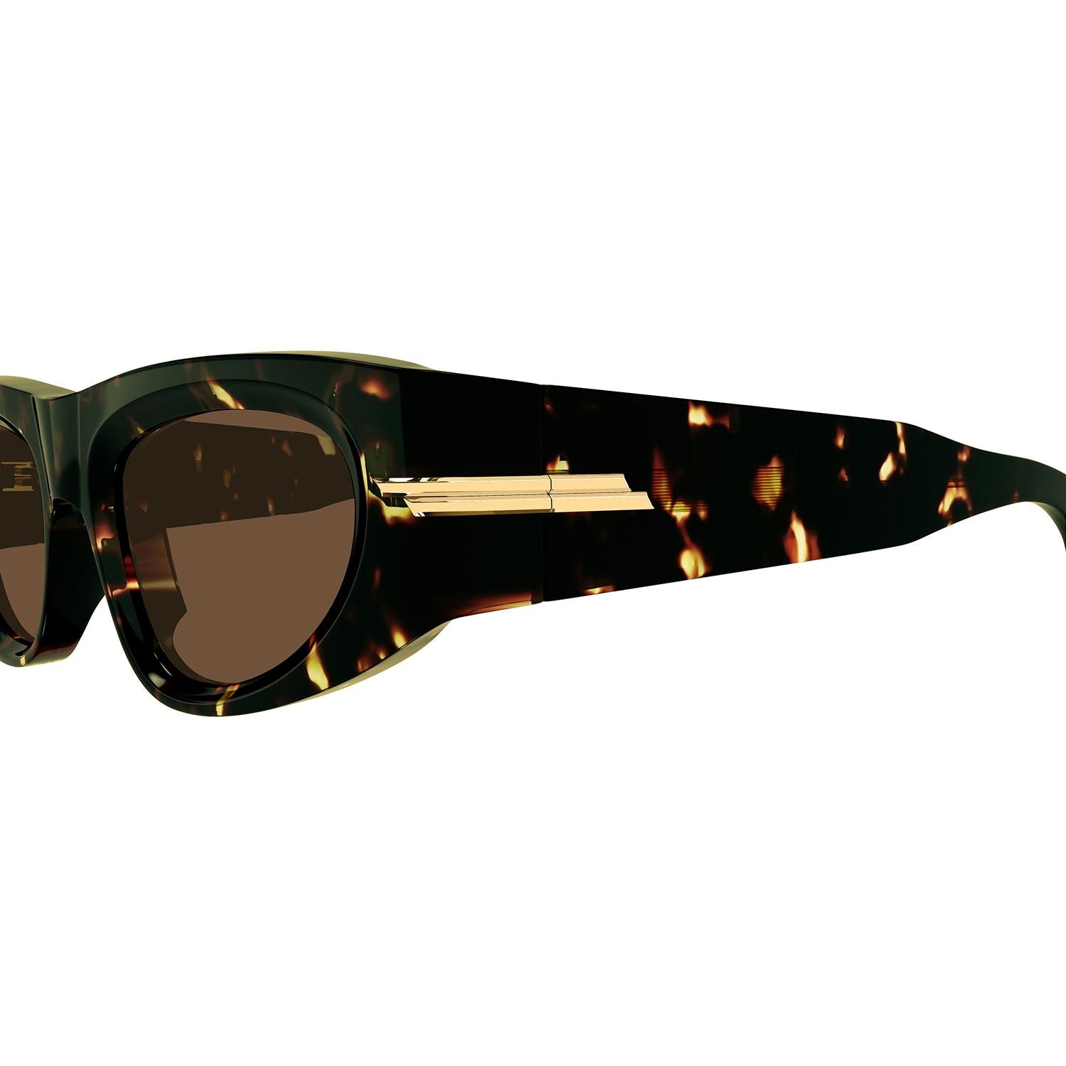 BV1144S Havana acetate Sunglasses - Shiny Spotted Havana