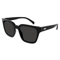 PE0185S Black injection Sunglasses - Shiny Black