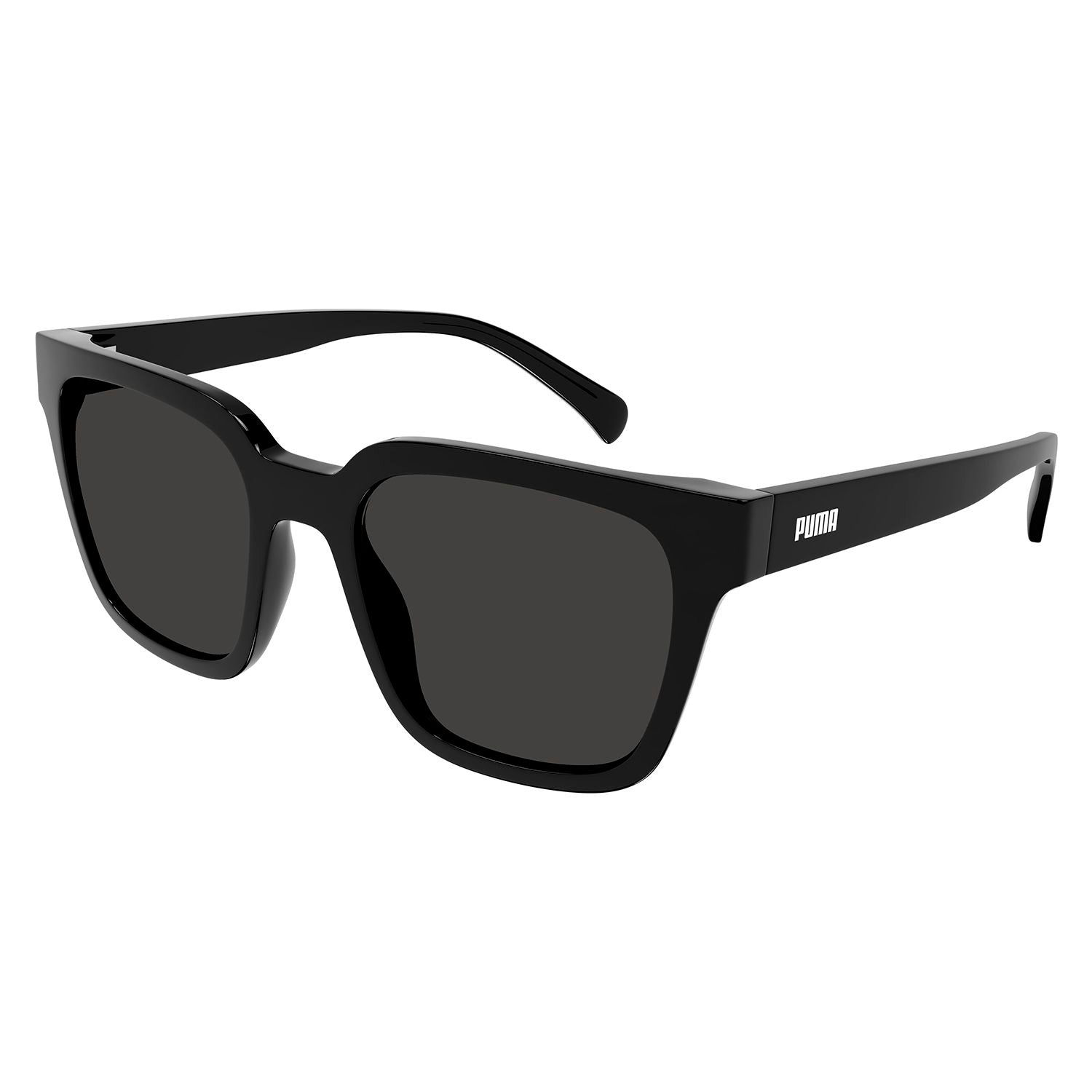 PE0185S Black injection Sunglasses - Shiny Black