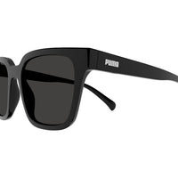 PE0185S Black injection Sunglasses - Shiny Black