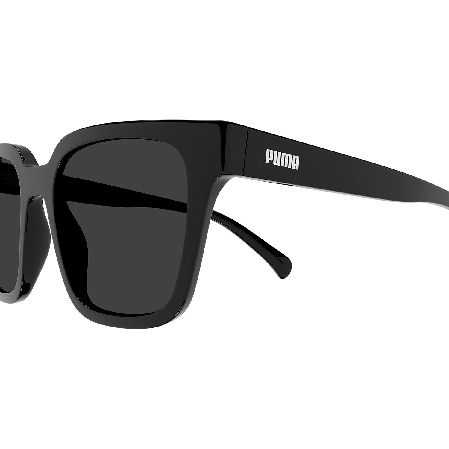 PE0185S Black injection Sunglasses - Shiny Black