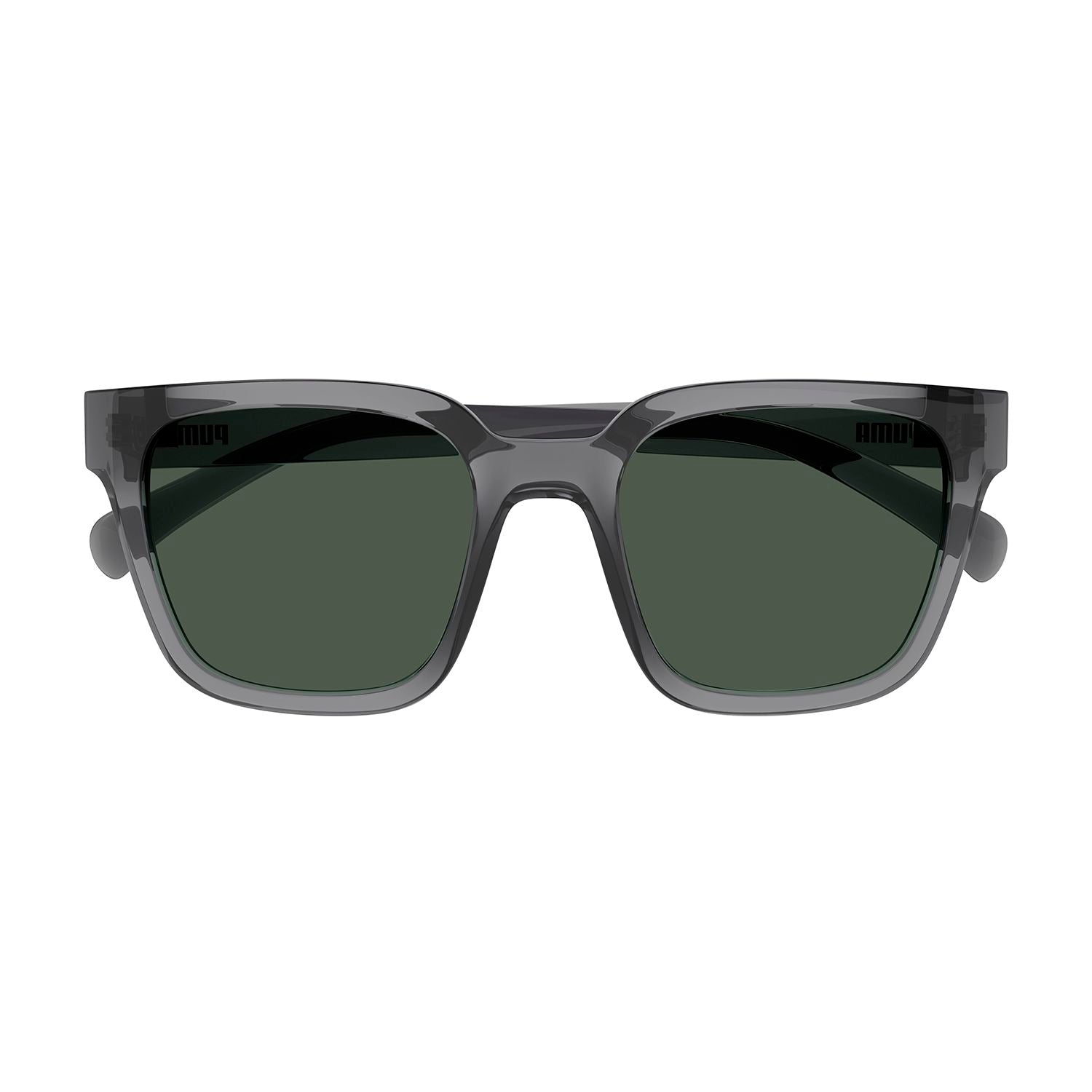 PE0185S Grey injection Sunglasses - Shiny Transparent Grey
