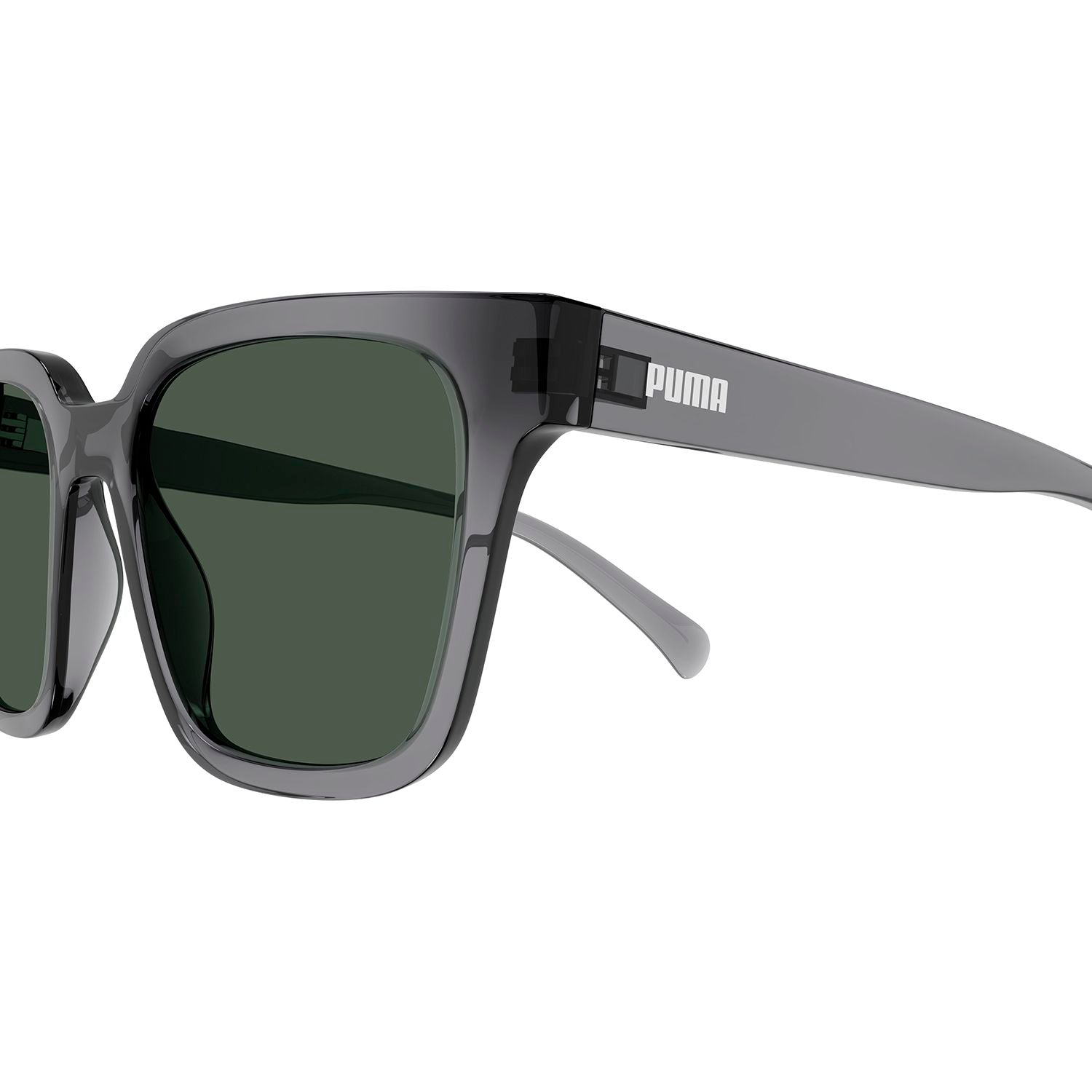 PE0185S Grey injection Sunglasses - Shiny Transparent Grey