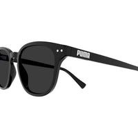 PE0186S Black injection Sunglasses - Shiny Black