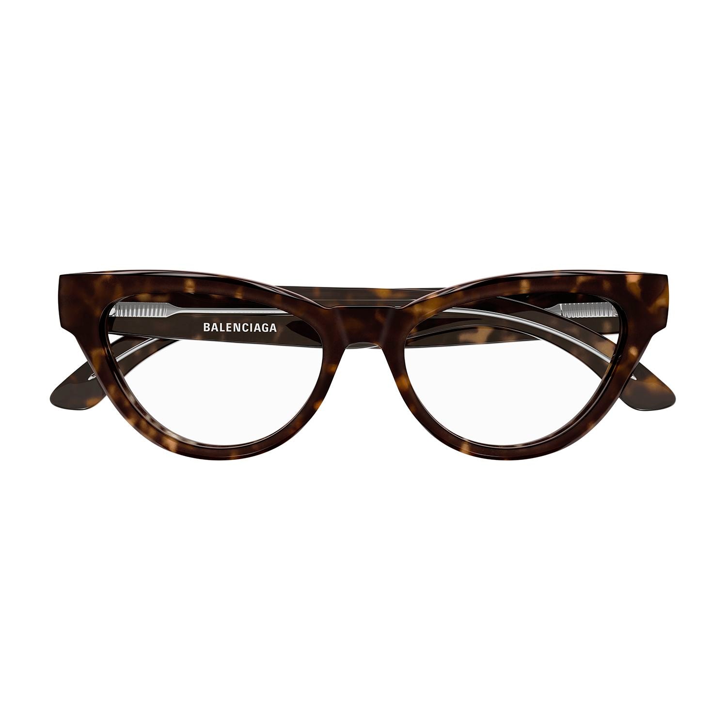 BB0241O Havana acetate Optical Frames - Shiny Dark Havana
