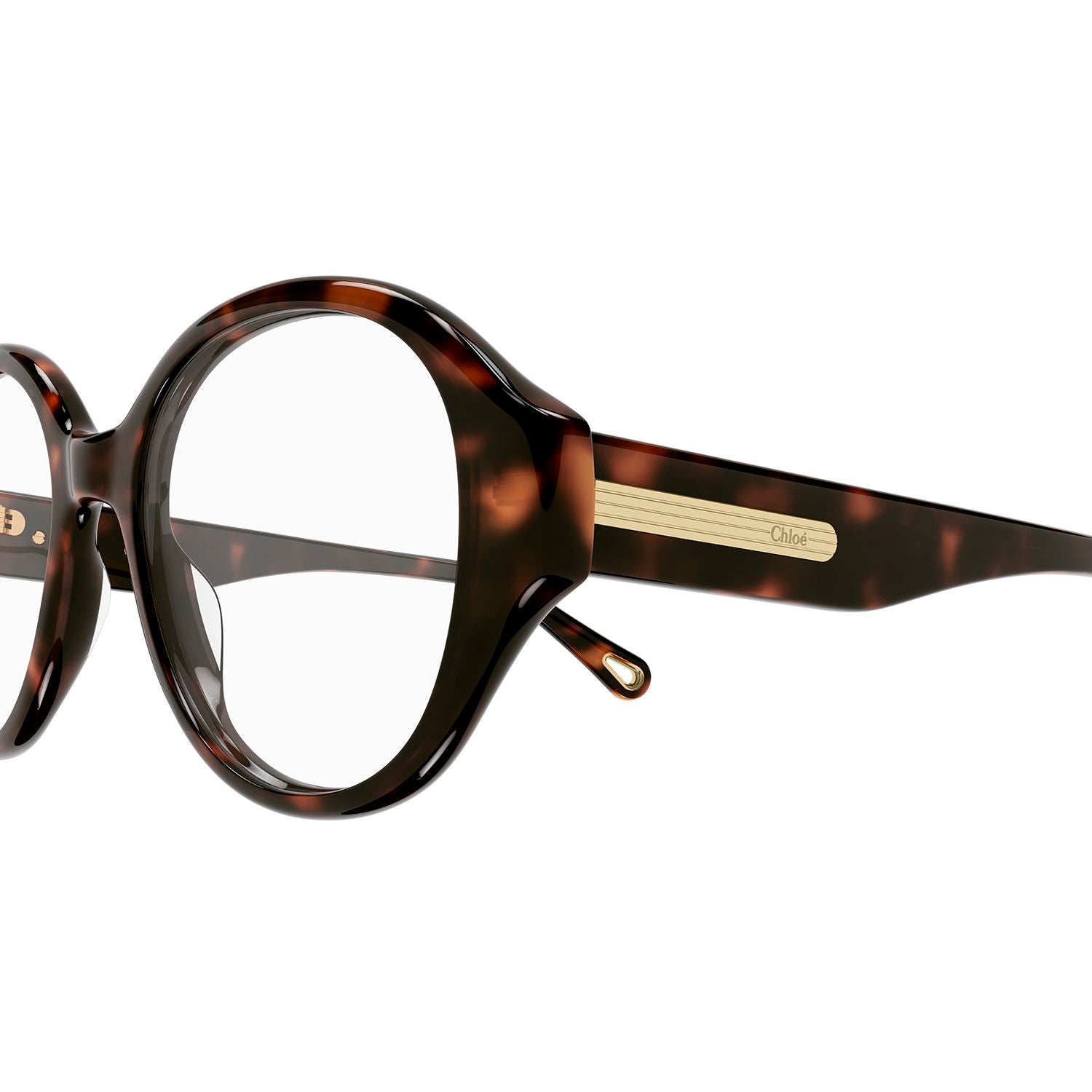 CH0123O Havana bio acetate Optical Frames - Shiny Medium Havana
