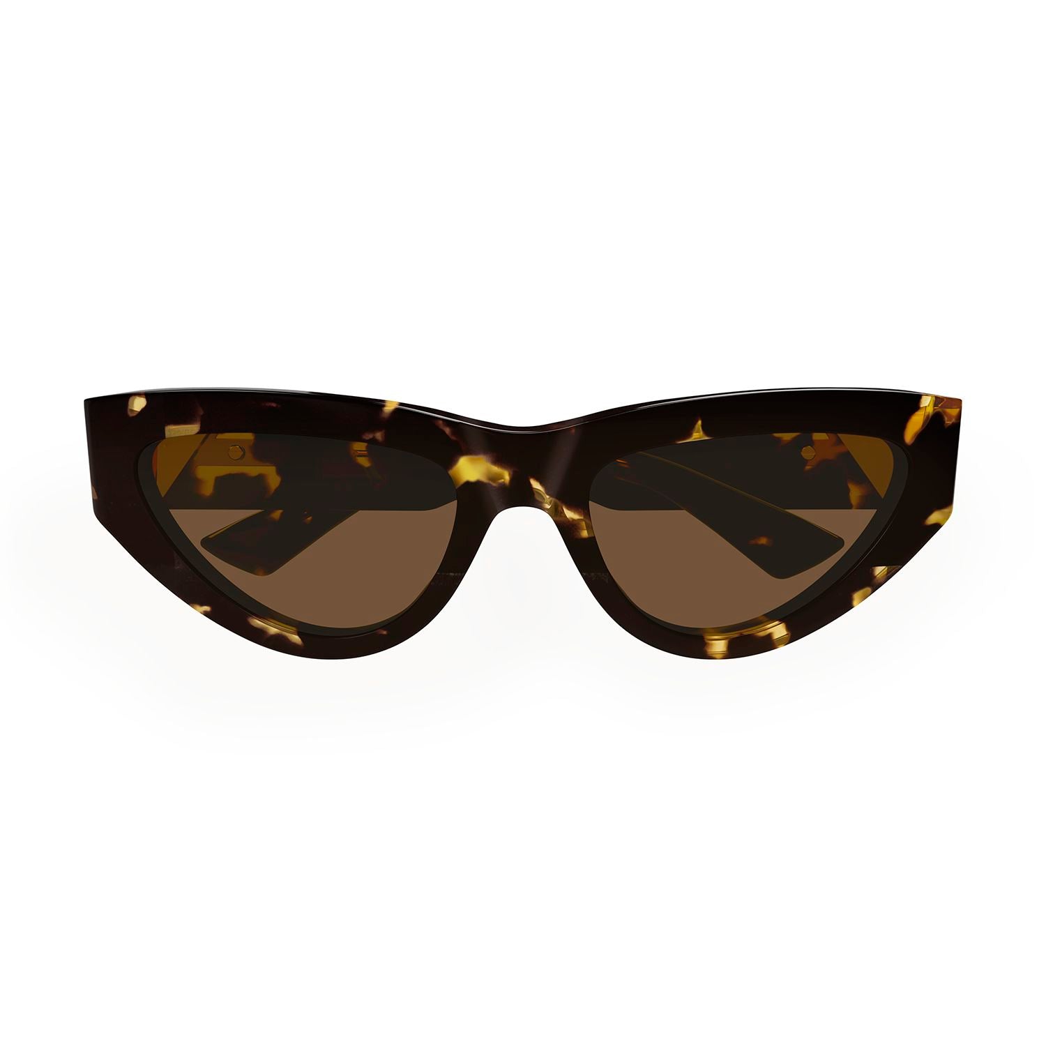 BV1176S Havana acetate Sunglasses - Shiny Spotted Havana