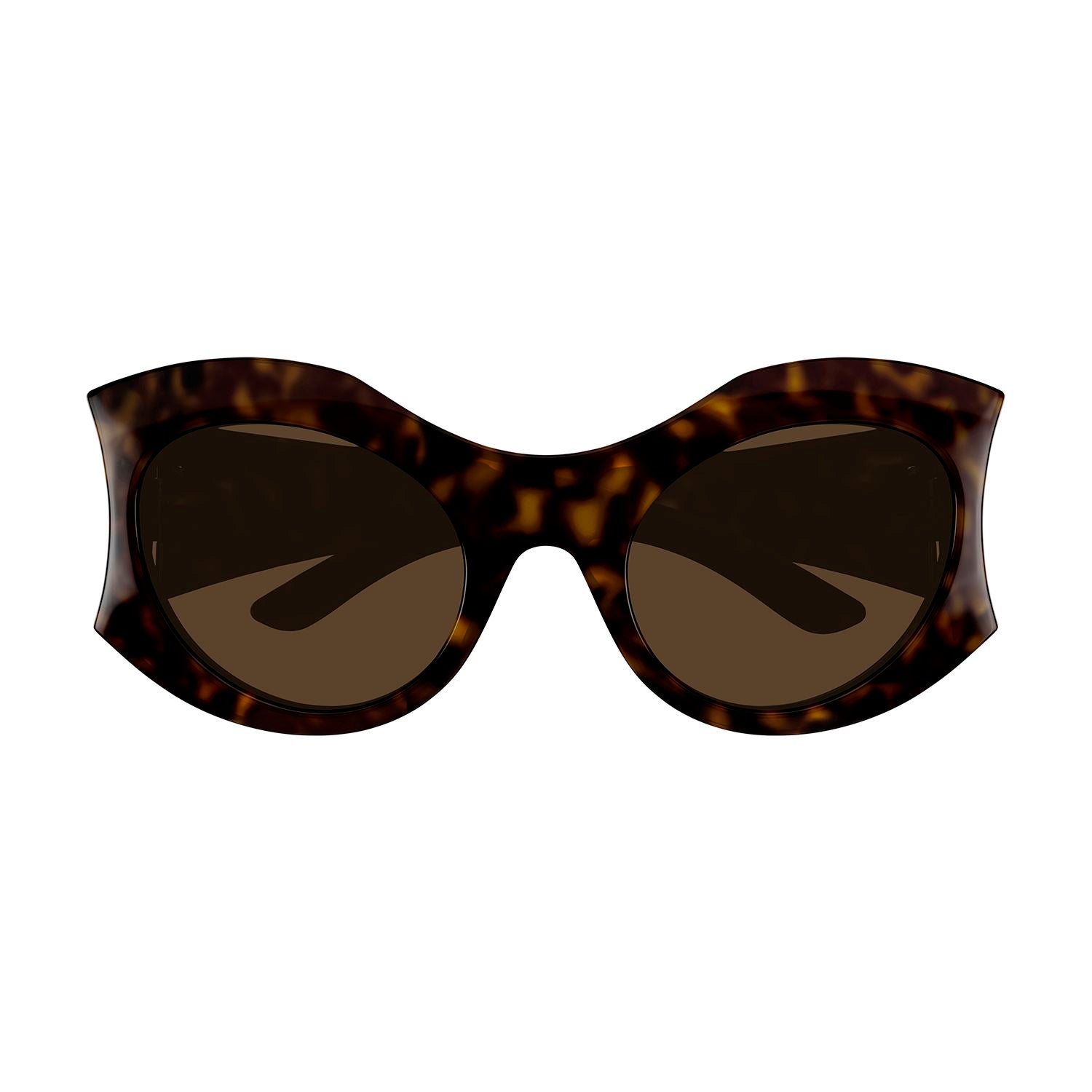 BB0256S Havana bio injection Sunglasses - Shiny Classic Havana