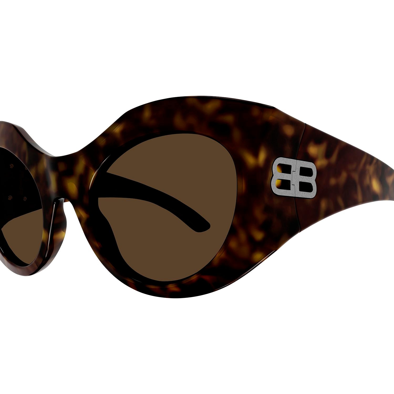 BB0256S Havana bio injection Sunglasses - Shiny Classic Havana