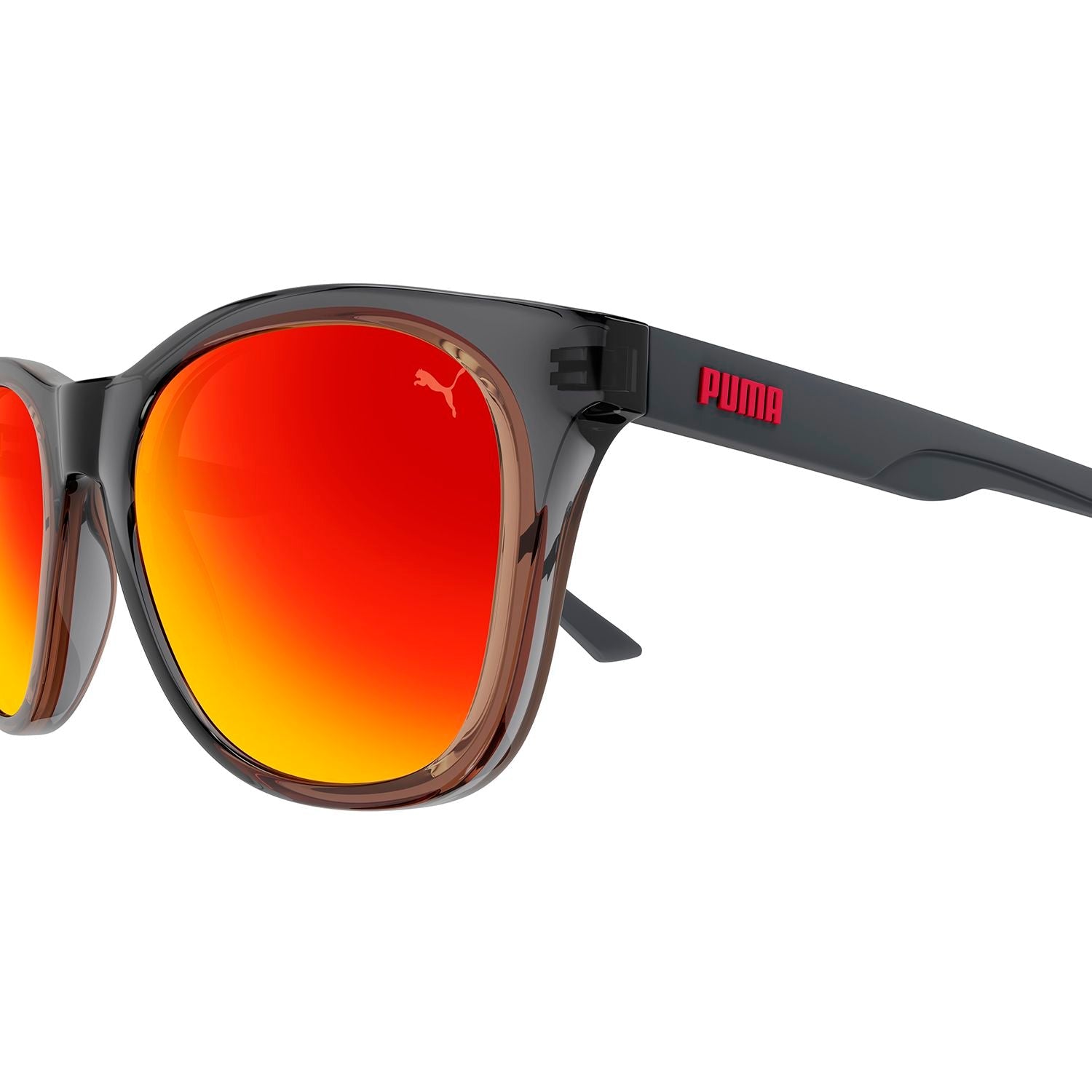PJ0074S Grey recycled acetate Sunglasses - Shiny Transparent Dark Grey