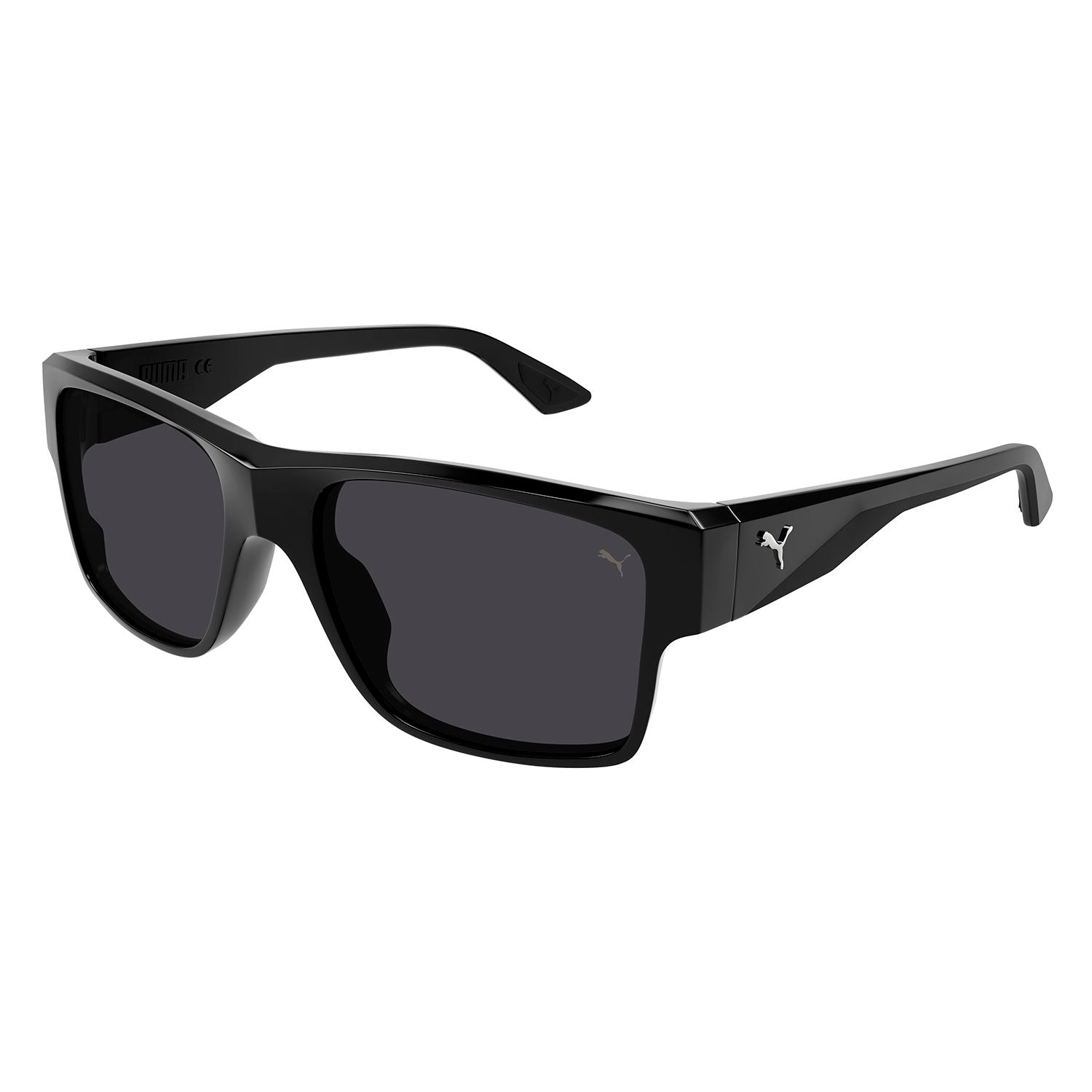 PU0403S Black injection Sunglasses - Shiny Black