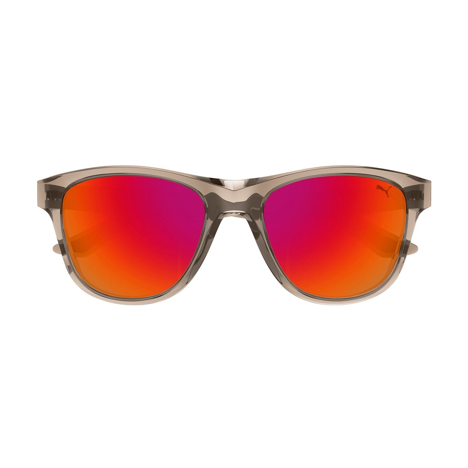 PU0401S Beige injection Sunglasses - Shiny Transparent Sand