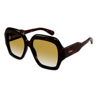 CH0154S Havana recycled acetate Sunglasses - Shiny Dark Havana