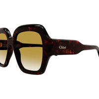 CH0154S Havana recycled acetate Sunglasses - Shiny Dark Havana