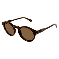 CC0014S Havana recycled acetate Sunglasses - Shiny Dark Havana