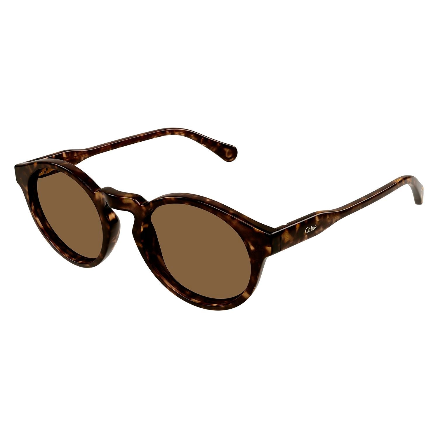 CC0014S Havana recycled acetate Sunglasses - Shiny Dark Havana