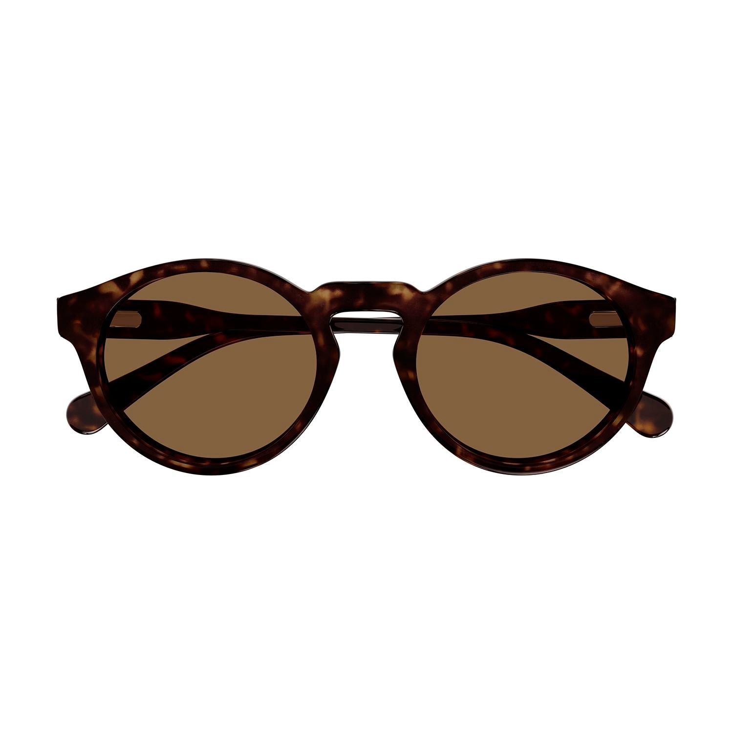 CC0014S Havana recycled acetate Sunglasses - Shiny Dark Havana