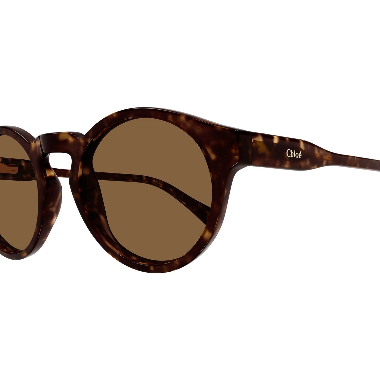 CC0014S Havana recycled acetate Sunglasses - Shiny Dark Havana
