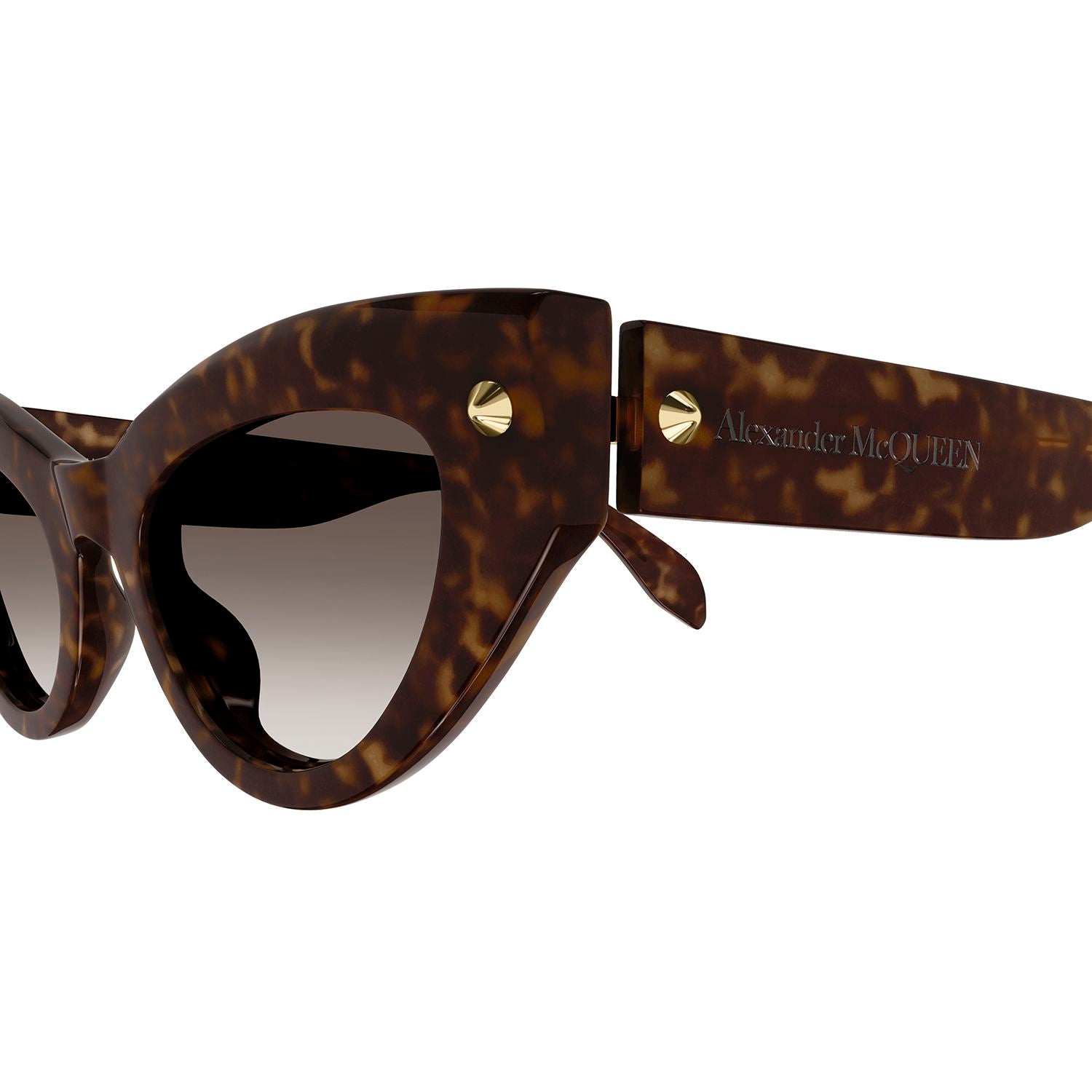 AM0407S Havana recycled acetate Sunglasses - Shiny Dark Havana