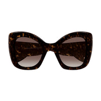 AM0402S Havana bio injection Sunglasses - Shiny Dark Havana