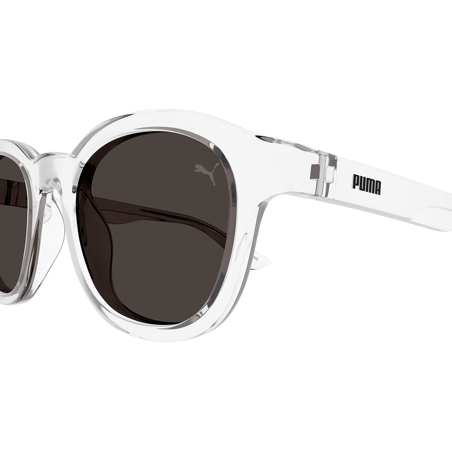 PU0422S Crystal recycled injection Sunglasses - Shiny Crystal
