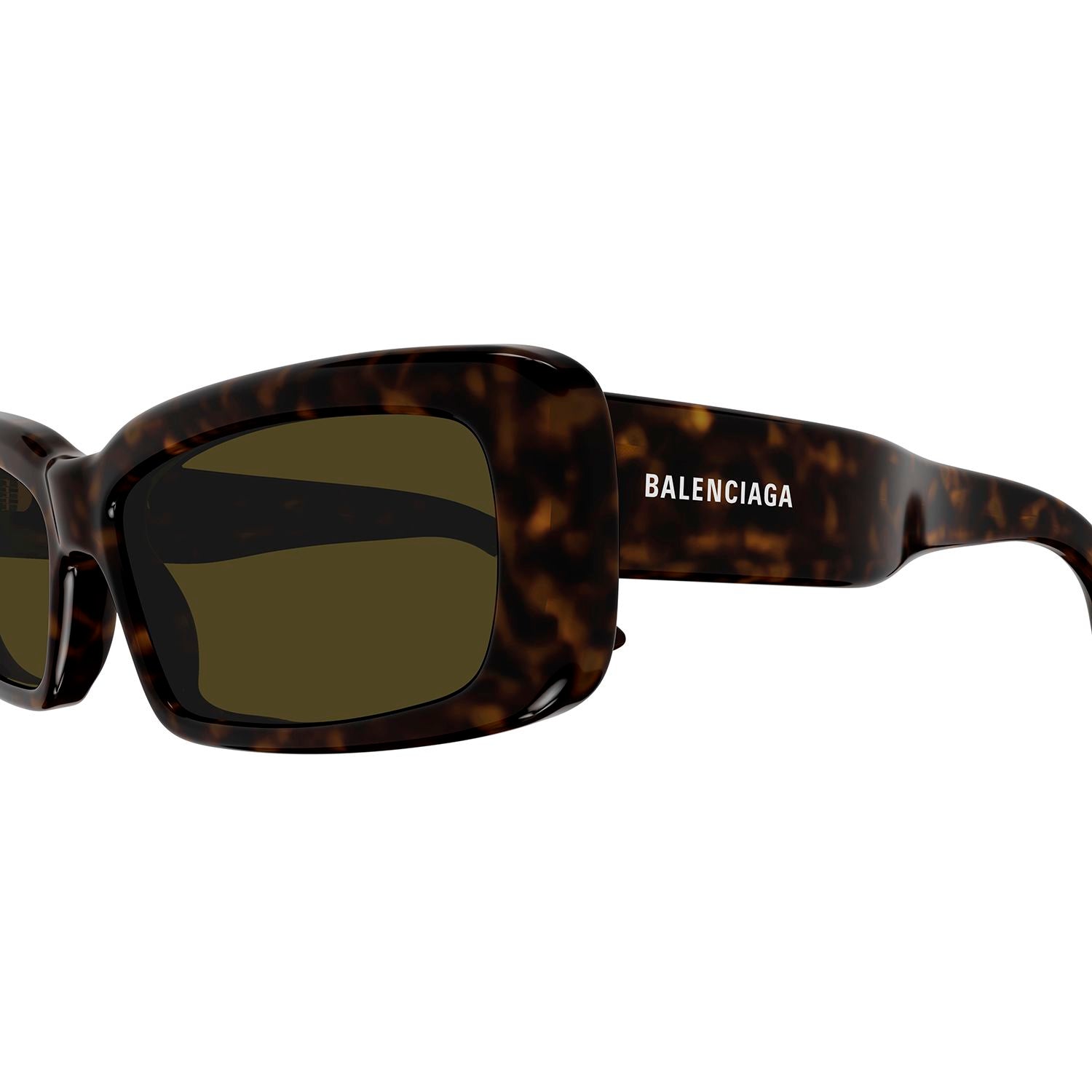 BB0286S Havana recycled acetate Sunglasses - Shiny Dark Havana