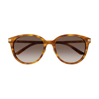 GG1452SK Havana recycled acetate Sunglasses - Shiny Blonde Havana