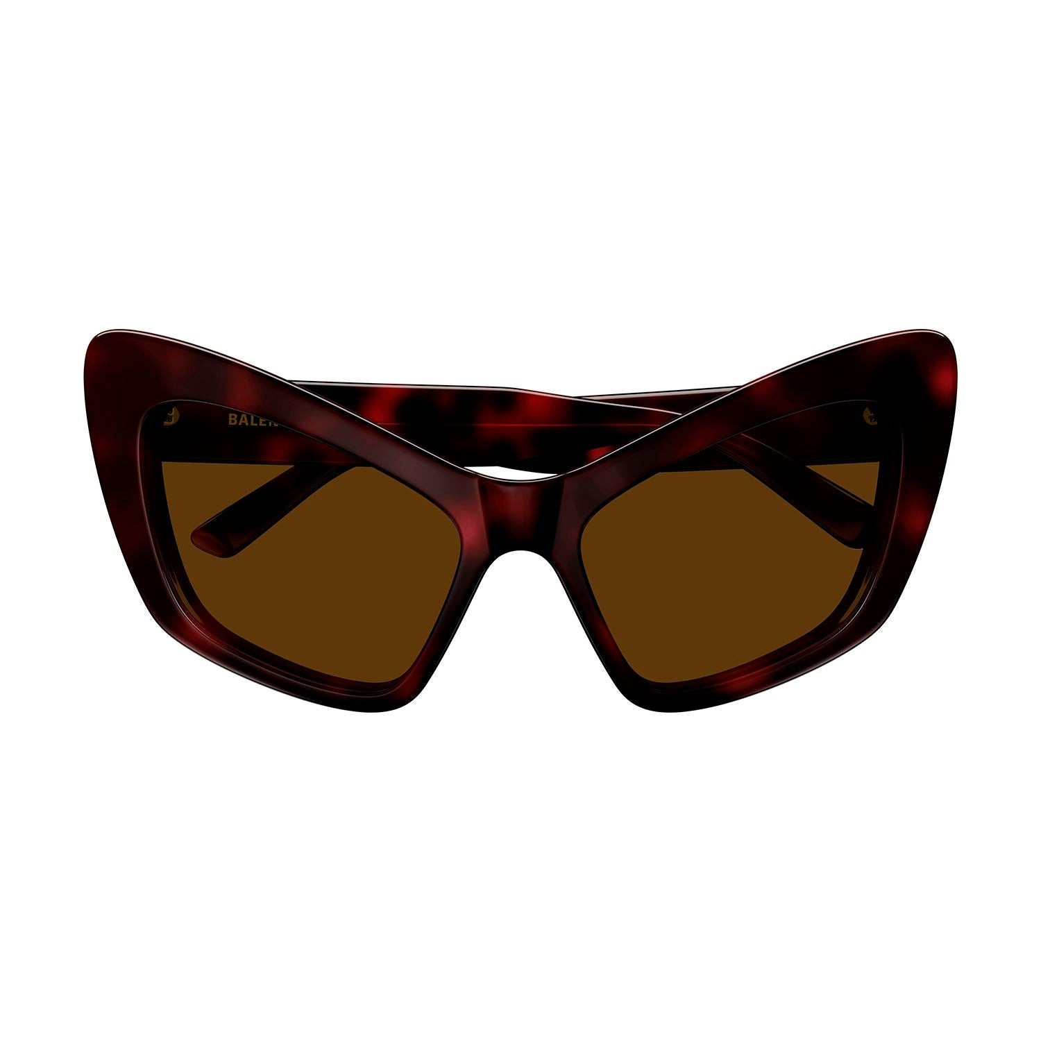 BB0293S Havana recycled acetate Sunglasses - Shiny Dark Havana