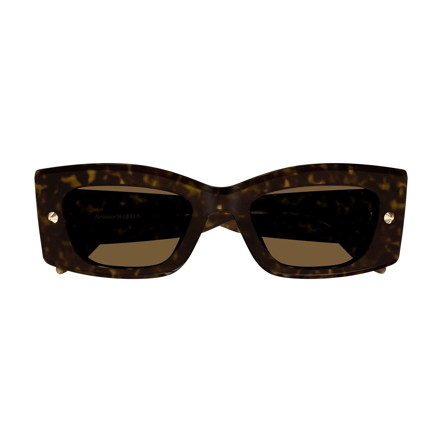 AM0426S Havana recycled acetate & gold studs Sunglasses - Shiny Dark Havana & Light Gold
