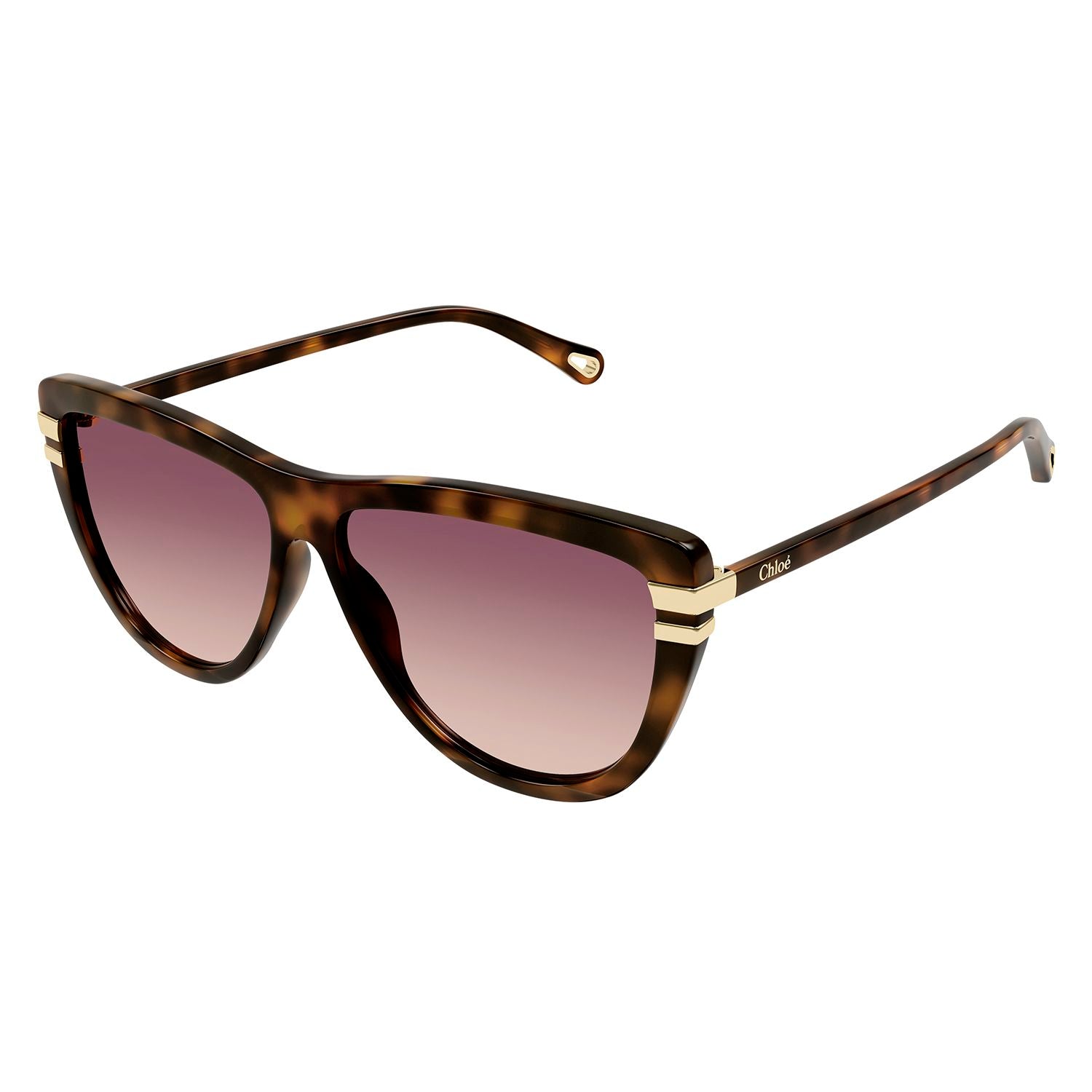CH0203S Havana recycled acetate Sunglasses - Shiny Medium Havana