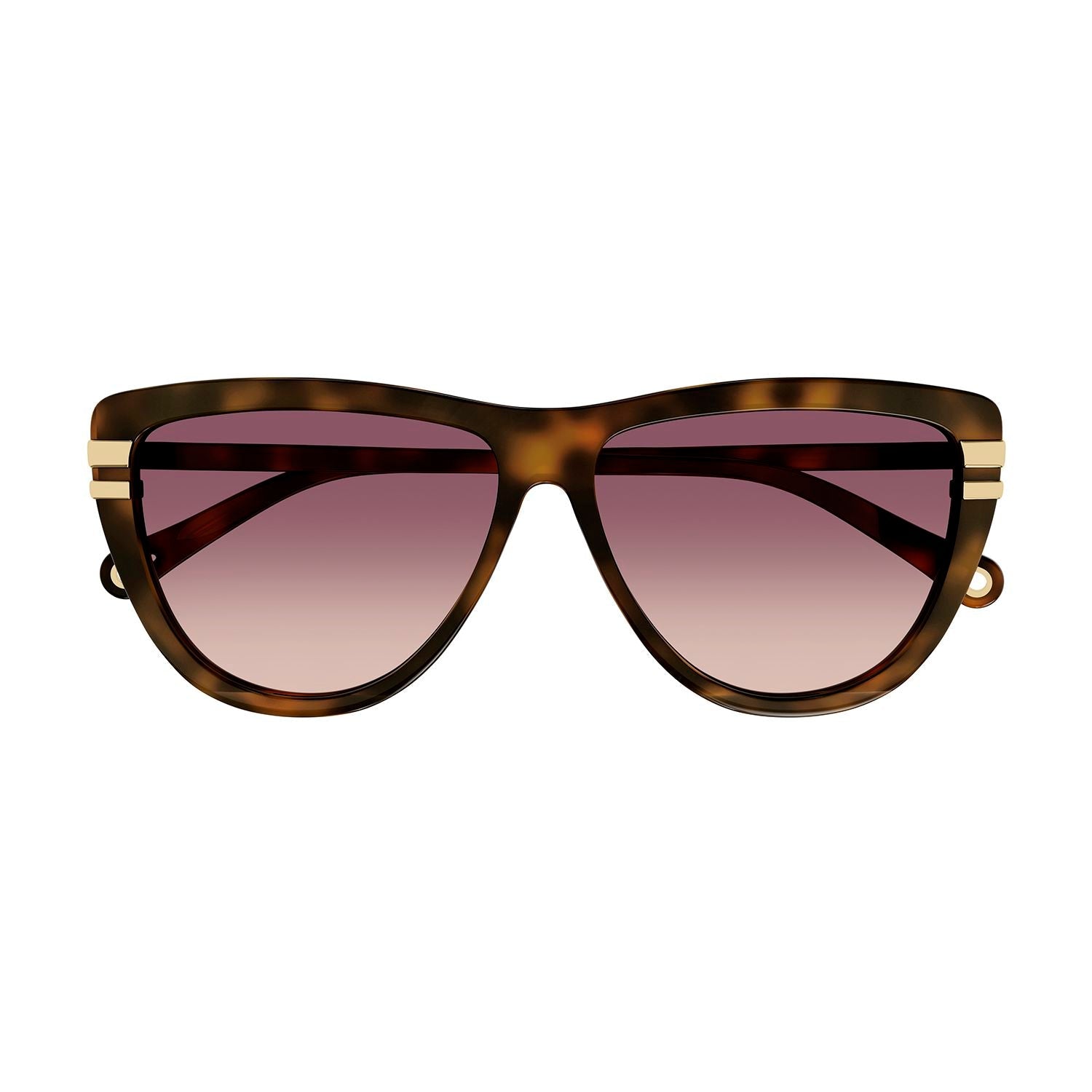 CH0203S Havana recycled acetate Sunglasses - Shiny Medium Havana