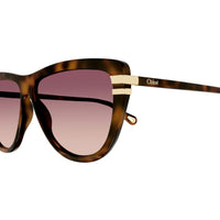 CH0203S Havana recycled acetate Sunglasses - Shiny Medium Havana