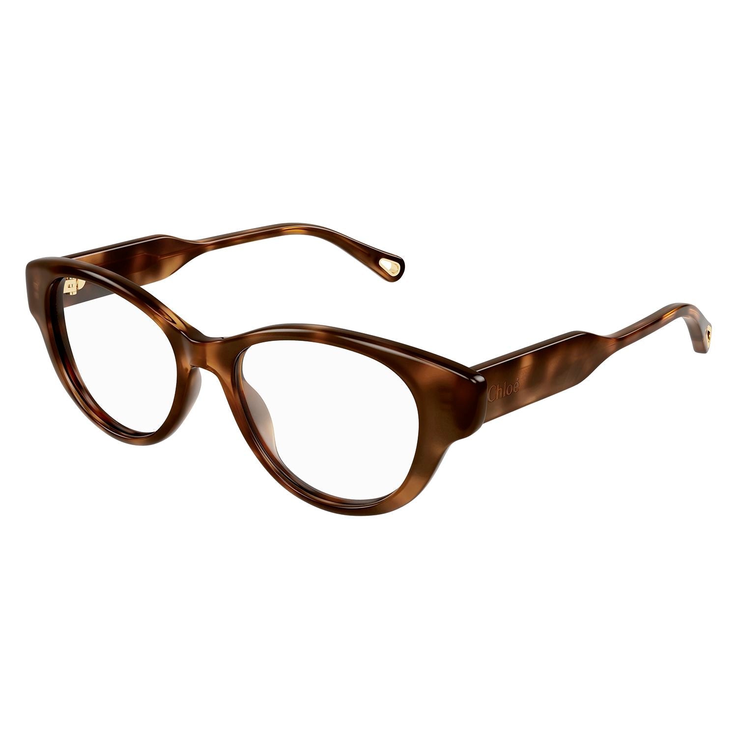 CH0199O Havana recycled acetate Optical Frames - Shiny Medium Havana